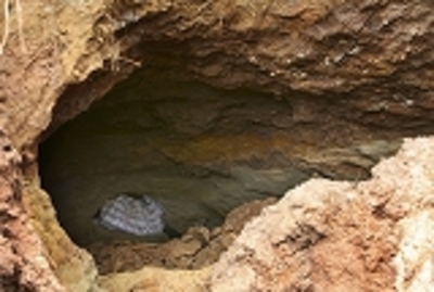 洞穴立てこもりの露カルト教団、「2人死んで埋葬した」