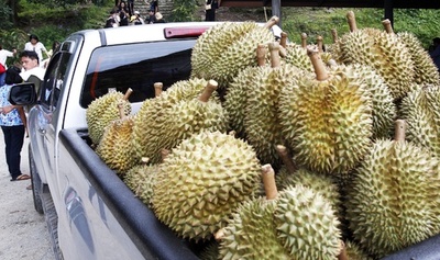 示談条件はドリアンの上に正座？ 浙江省、裁判所は修正指示