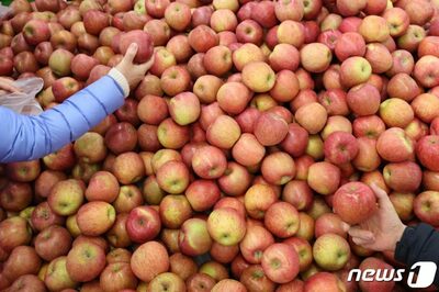 東京より高いソウルの生計費、世界16位…「生活の質」は81位