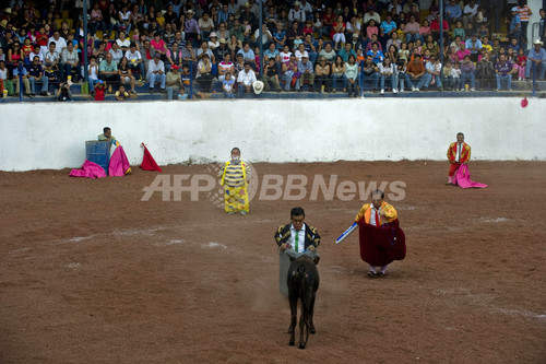 低身長の闘牛士たち 華麗な身のこなしを披露 メキシコ 写真18枚 ファッション ニュースならmode Press Powered By Afpbb News