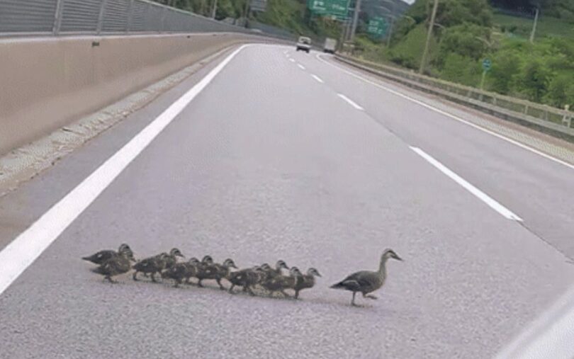 hwajiインスタグラムのキャプチャー(c)NEWSIS