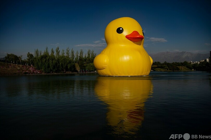 【今日の1枚】ビルより高い？ 巨大アヒル チリ