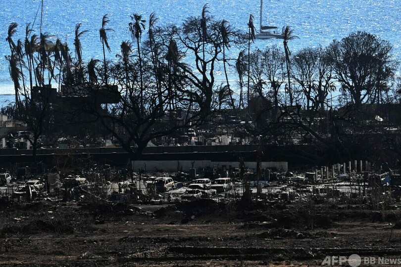ハワイ山火事、死者67人に 対応を捜査へ