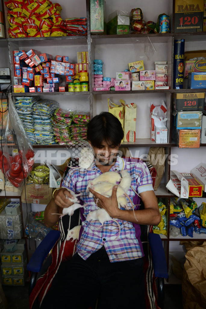 白ネズミといつでも一緒、インドの「ネズミ男」