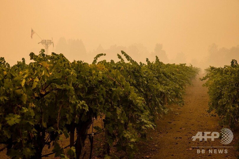 夢のワインルートが灰に…米ナパバレー山火事、有名ワイナリーも焼失