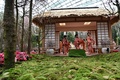 シンガポールの植物園「ガーデンズ・バイ・ザ・ベイ」で開幕した日本をテーマにした「桜祭り」で、伝統の踊りを披露するシンガポール日本人会民謡同好会のメンバーら（2018年3月16日撮影）(c)AFP PHOTO / Roslan RAHMAN