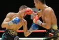 ボクシング、WBA世界スーパーフェザー級タイトルマッチ12回戦。金子大樹（Daiki Kaneko、左）と対戦する内山高志（Takashi Uchiyama、2013年12月31日撮影）。(c)AFP/Toru YAMANAKA