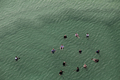 アラビア半島にある死海（Dead Sea）とその沿岸の温泉でくつろぐ人々。死海は、世界新七不思議を選出するオンライン投票の最終候補28か所の1つに選ばれている。

写真は、エンボケック（Ein Boqek）のリゾート地で、ミネラルの豊富な死海の水に浮かぶ観光客ら（2011年11月10日撮影）。(c)AFP/MENAHEM KAHANA