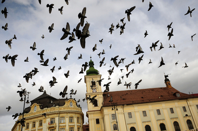 ルーマニア・シビウの日常