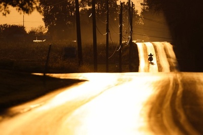 【今日の1枚】黄金ロードを駆け抜けるライダー 米