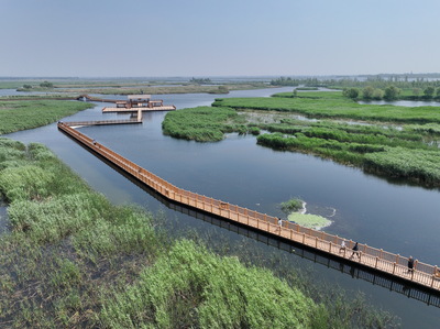 白洋淀で環境改善続く　中国河北省