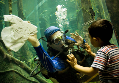 256種類の熱帯魚を飼育するコロンビアの水族館