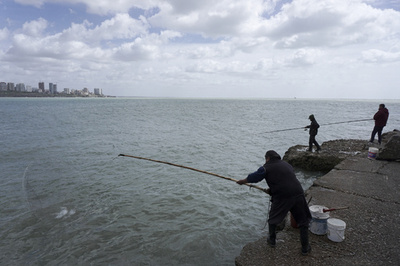 サメの腹から行方不明男性の腕 アルゼンチン