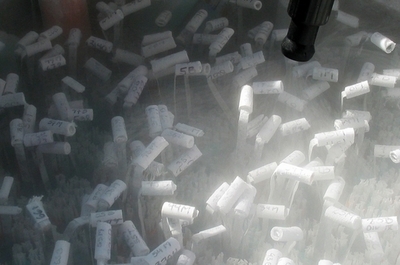 イスラエル精子銀行、「利率」低下の危機