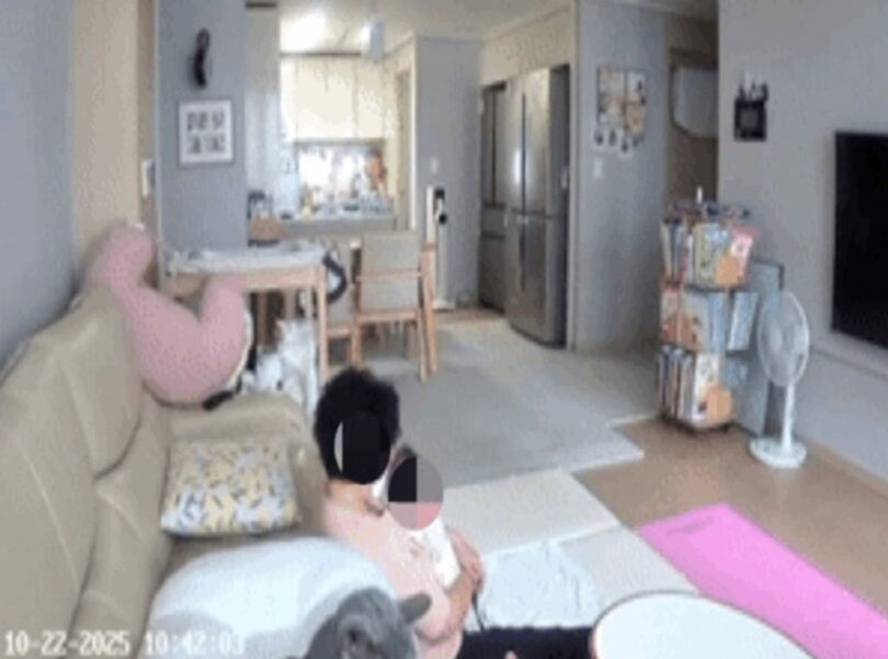 ポぺドリーム(c)NEWSIS