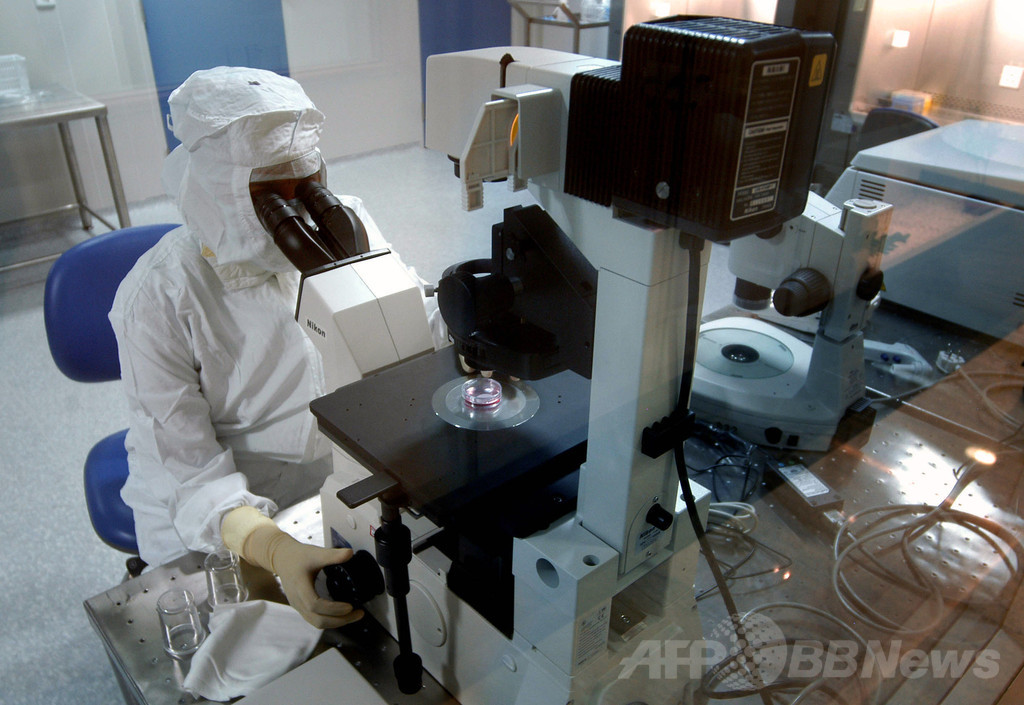 免疫細胞を「再教育」、新療法で白血病患者88%の症状消失 免疫細胞を「再教育」、新療法で白血病患者88%の症状消失