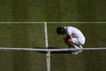 テニス、ウィンブルドン選手権、男子シングルス決勝。優勝を喜ぶノバク・ジョコビッチ（2022年7月10日撮影）。(c)Daniel LEAL / AFP