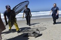 米カリフォルニア州ラグナビーチで、漂着したアシカを保護する専門家ら（2015年3月30日撮影）。(c)AFP/ROBYN BECK