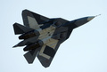 ロシア初のステルス戦闘機T50。同国首都モスクワ郊外で（2011年8月17日撮影、資料写真）。(c)DMITRY KOSTYUKOV / AFP