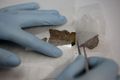 イスラエル、エルサレムのあるスタジオで行われている死海文書（Dead Sea Scrolls）の修復作業（2010年1月27日撮影）。(c)AFP/MENAHEM KAHANA