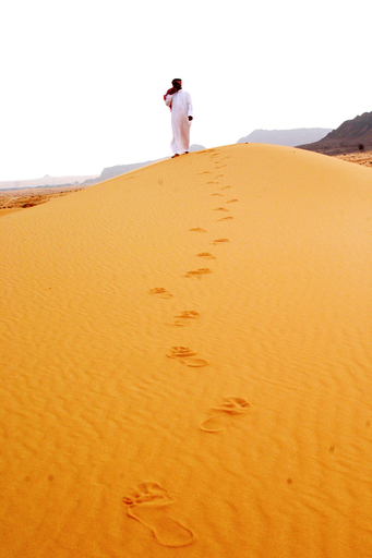 「車が壊れたからここに永住」、あるサウジ男性の砂漠生活