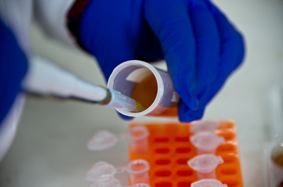 生物医科学論文の大半に不備、信頼性に疑問符