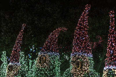 【特集】AFPのベストショット：12月17日～12月23日