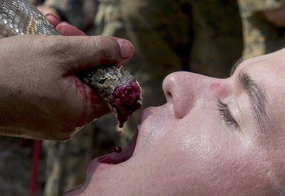 ヘビの血も飲む軍事演習「コブラ・ゴールド」、タイで実施