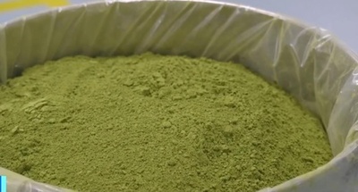 中国の抹茶生産量は全世界の約70% 現在も急成長