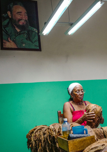 18年キューバ産葉巻、売上高は593億円 中国需要で過去最高