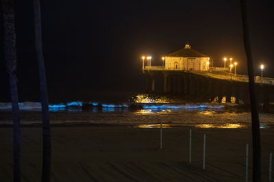 【今日の1枚】砂浜にきらめき、幻想的な青い波