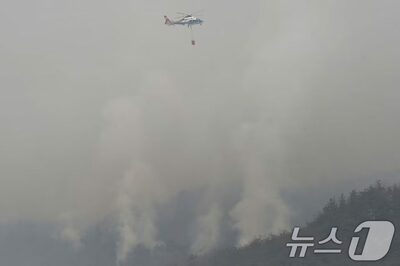 韓国・大規模山火事7日目…専門家「症状なくても病院に」呼吸器疾患リスク警告