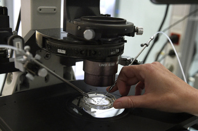 体外受精で子ども取り違え 米夫婦、不妊治療医院を提訴