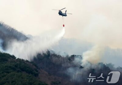 「手がかじかんで…」…韓国・サッカー場56個分焼いた山火事の原因は「雑草のヤマにライターで火」