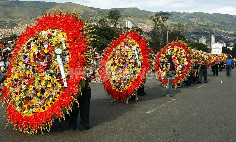 コロンビアで恒例の花の祭典 写真4枚 国際ニュース Afpbb News コロンビアで恒例の花の祭典 写真4枚 国際ニュース Afpbb News