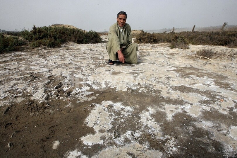荒廃する穀倉地帯、ナイルデルタに海水侵入