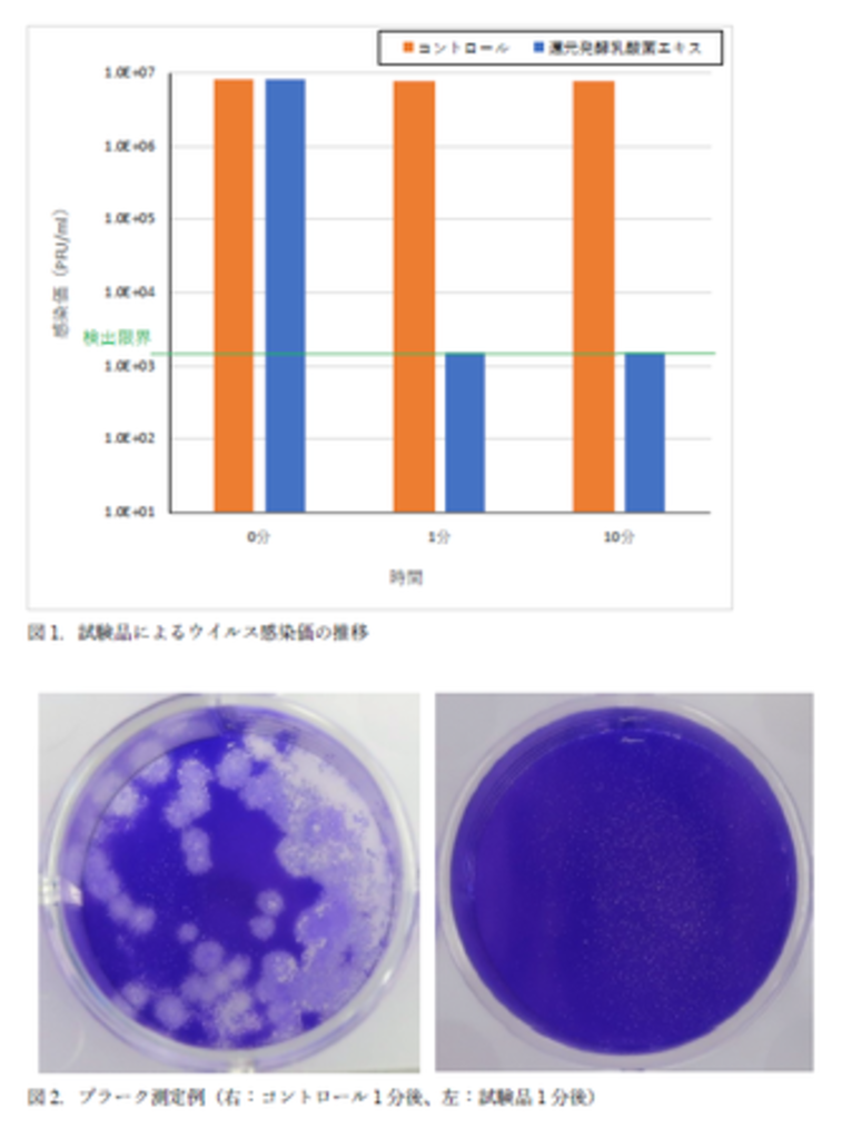 新型コロナウイルスを1分で99.9%以上無害化(試験管内)還元発酵乳酸菌エキス/奈良医大共同研究で成果 新型コロナウイルスを1分で99.9%以上無害化(試験管内)還元発酵乳酸菌エキス/奈良医大共同研究で成果