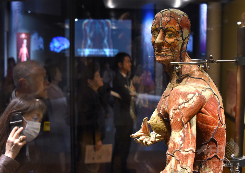 永遠の謎」人体に迫る、ダビンチの手稿も 東京 写真18枚 国際ニュース