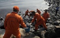 インド・チェンナイで、海岸に流れ着いた原油の除去作業に当たる人々（2017年1月30日撮影）。(c)AFP/Arun SANKAR