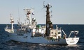 南極海（Southern Ocean）で、日本の調査捕鯨船「日新丸（Nisshin Maru）」との衝突によって衛星通信機器がひしゃげた反捕鯨団体シー・シェパード（Sea Shepherd Conservation Society）の抗議船「サム・サイモン（Sam Simon）号」（2013年2月25日撮影、同26日提供）。(c)AFP/SEA SHEPHERD AUSTRALIA/TIM WATTERS