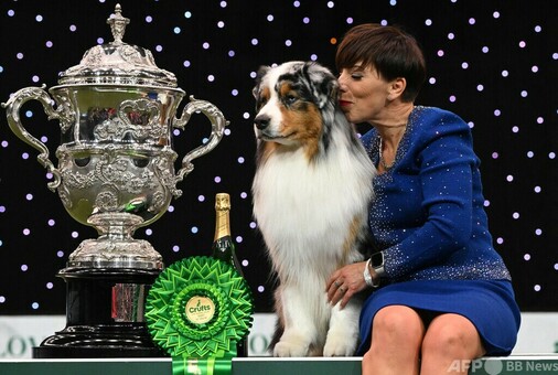 世界最大級のドッグショー、最高賞はオーストラリアン