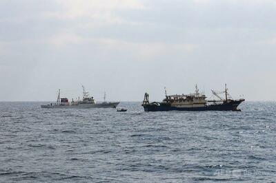 水産庁、逮捕した中国漁船の船長を釈放