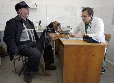 「動物用救急車にサイレンの装備を禁ず」、スイス最高裁