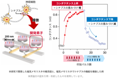 シナプスの機能をナノサイズの磁気メモリスタで模倣
