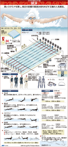 【図解】北京五輪種目・競泳