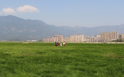 中国最大の淡水湖が渇水期に入り「大草原」に 湖底遺跡も姿現す