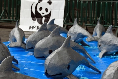 生息数30頭、希少なネズミイルカの保護を求めデモ メキシコ