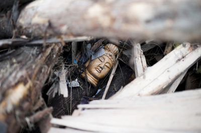 福島県の牛乳と茨城県のほうれん草から、基準値超える放射線量