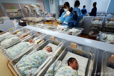 出生率0.8回復を支えたのは「30代後半×高所得女性」だった…韓国の最新分析