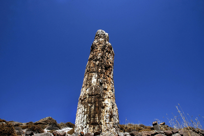 石化した古代の木々が残る島、レスボス